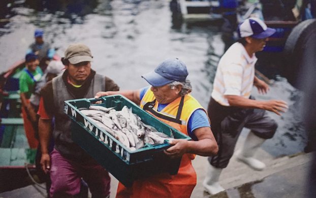 Desembarque de Lorna. Ilo, Moquegua. (Fotografía Fondepes)