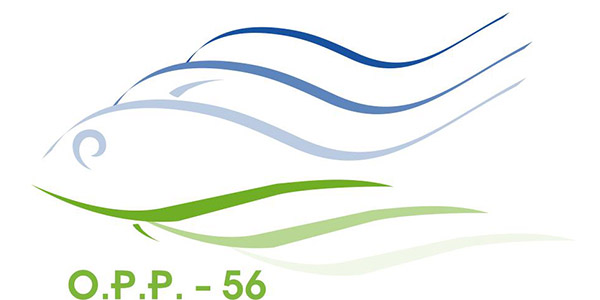 logo-opp56